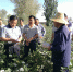 天山脚下，湘疆情长——刘宗林带队赴新疆考察慰问 - 农业厅
