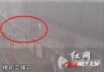 临湘5个熊孩子和火车“躲猫猫” 逼停火车7分钟(图) - 长沙新闻网