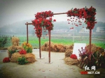 会玩！长沙这个乡村婚礼用枫叶撒地布置 - 长沙新闻网