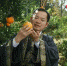 湖南湘西副州长穿古装当网络主播 帮果农卖脐橙 - 长沙新闻网