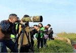 沅江市领导参加爱鸟护鸟活动 - 环境保护厅