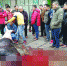 12月2日，南大门附近，几名男子在街边宰牛，场面十分血腥 记者谢慧摄 - 新浪湖南