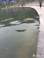 “高大上”包子铺藏身长沙烈士公园 油污直排跃进湖 - 长沙新闻网