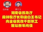 段林毅厅长和唐白玉书记向全省民政干部职工致以新年问候 - 民政厅