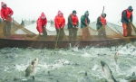 12月25日下午，岳阳市南湖新区南湖水域，渔民在拉网起鱼。 徐典波 摄 - 新浪湖南