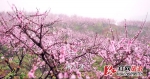湖南发布新旅游宣传口号：“湖南如此多娇” - 湖南红网