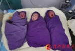 漆先生、罗女士夫妇二胎生下三胞胎（通讯员李菁菁 供图） - 长沙新闻网