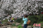 湖南省森林植物园举办多个主题花展“撩客” - 湖南新闻网