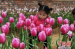 湖南省森林植物园举办多个主题花展“撩客” - 湖南新闻网