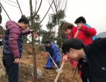 吉首市环保局开展植树活动 - 环境保护厅