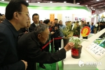 第27届中国(长沙)兰花博览会开幕 市民可凭身份证免费领票 - 长沙新闻网