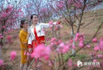 湘赣边桃花艺术节火爆 看看镜头下的桃花有多美 - 长沙新闻网