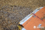 开福区食药监对1.5吨不合格食品和问题食品进行销毁 - 长沙新闻网
