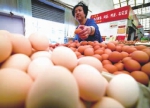 加工率不高 湖南省内鸡蛋期货交易仍是“空白” - 湖南红网