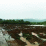 湖里湿地旁边，土地被大量挖开，植被被破坏 记者 贺天鸿 摄 - 新浪湖南