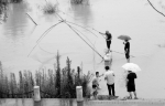 强降雨已致湖南12市州204万人受灾 转移安置8.2万人 - 湖南红网