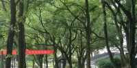 长沙烈士公园等10个公园今天起恢复开放 - 新浪湖南