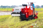 种稻省事节肥又增产 今天这台农机完全做到了 - 农业机械化信息网