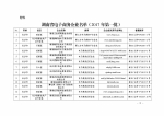 湖南省商务厅 湖南省国家税务局关于2017年第一批湖南省电子商务企业认定结果的公告 - 商务厅