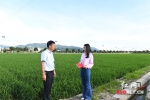 【绿色发展 绿色生活】记者手记:稻田公园的花香 飘荡在每个村民梦里 - 湖南红网