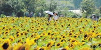 亲子活动、乡村团圆、美食相伴，118万游客昨在星城“花式”过中秋 - 湖南红网