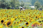 亲子活动、乡村团圆、美食相伴，118万游客昨在星城“花式”过中秋 - 湖南红网