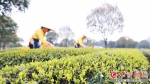 长沙派送惠农“大礼包” 打造50个全国知名农产品品牌 - 湖南红网
