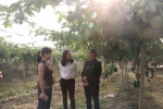 在双牌县巾帼示范基地百香果园，详细了解基地生产种植情况.JPG - 妇女联