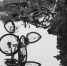 长沙岳麓区一水沟成共享单车坟场 共享单车方：可能选择报警 - 湖南红网