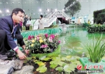 水上造花园 望城农民用花花草草装扮世界 - 新浪湖南