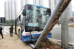 小车闯黄灯与公交相撞 事故造成5人受伤 - 湖南红网