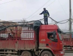 货车被脱落电缆卡住 怀化“树上执勤的交警”获点赞 - 新浪湖南