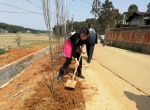 市妇联党组书记、主席袁世平正在给树苗培土.png - 妇女联