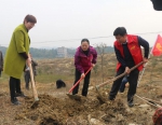 永州：市妇联开展建设“巾帼林”助力“乡村振兴巾帼行”植树活动 - 妇女联