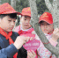 长沙100多名小学生对景观树进行挂牌认养 - 湖南红网