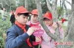 长沙100多名小学生对景观树进行挂牌认养 - 湖南红网
