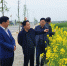 省局副局长杨国成一行到常德督导春季农机化工作 - 农业机械化信息网