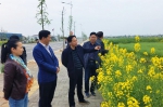 省局副局长杨国成一行到常德督导春季农机化工作 - 农业机械化信息网