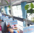 暖心！长沙一公交司机自行种绿植装点车厢 - 湖南红网