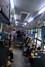 长沙一公交司机在车上种绿植：车程长 只想让乘客舒适点 - 湖南红网