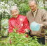 同年同月同日生的“最有缘分夫妻”用56年写就爱情传奇 - 湖南红网