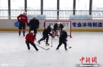 湖南成立首支冰球队 出征全国冰球锦标赛 - 湖南新闻网