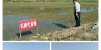 双峰县：认真开展水稻移栽技术对比实验跟踪服务 - 农业机械化信息网