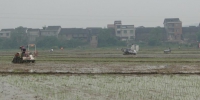 溆浦县：稳步推进中稻机械化栽种 - 农业机械化信息网