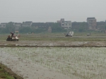 溆浦县：稳步推进中稻机械化栽种 - 农业机械化信息网
