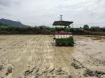 洪江市：农机三夏生产又好又快进行 - 农业机械化信息网