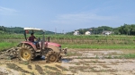 韶山市：农业机械助力“双抢” - 农业机械化信息网
