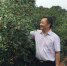 【时代脊梁】“油茶博士”陈永忠：站在前辈肩膀上的奋斗者 - 湖南红网