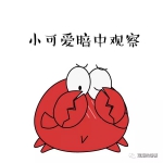 一只螃蟹的新年告白 - 湖南红网