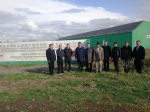 何报翔副省长考察中国援助格鲁吉亚蔬菜大棚种植第一期项目基地 - 商务厅
